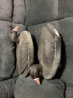 Two floater Speckled Geese decoys, with weights!!