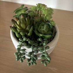 Fake Succulent 