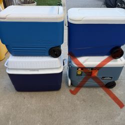 Cooler 