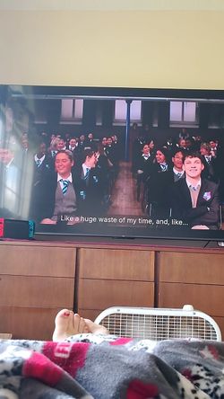Tcl fire tv 75 inch with built in Alexa