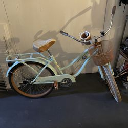 Adult Bike 