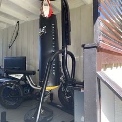 Everlast Punching Bag w/Stand 