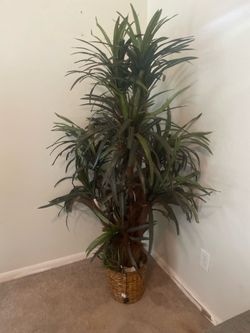 Tree and 3 pc decor