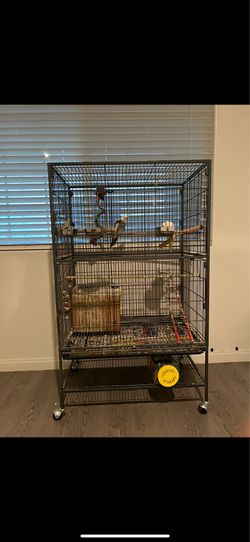 Cage