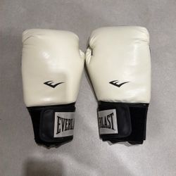 Everlast Boxing Gloves 12 Oz.