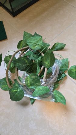 Reptile decor