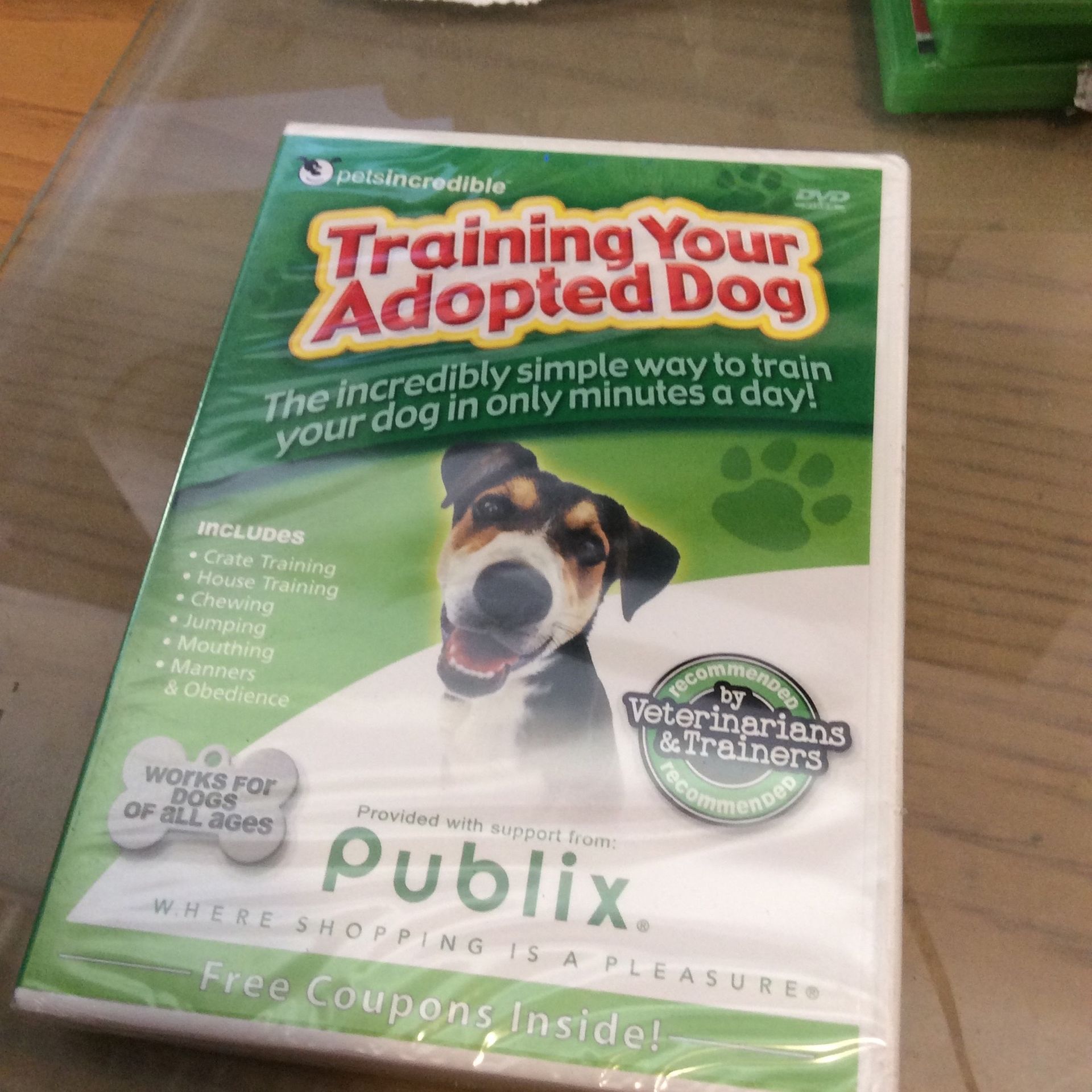 Training Your Adopted Dog