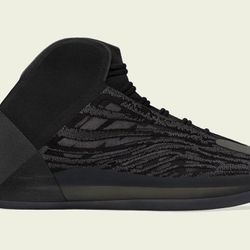 adidas Yeezy Quantum "Onyx"- $180 BRAND NEW