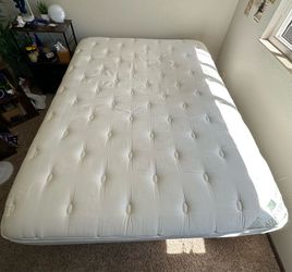Queen Bed