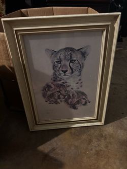 1970s cheetah portrait $40 obo