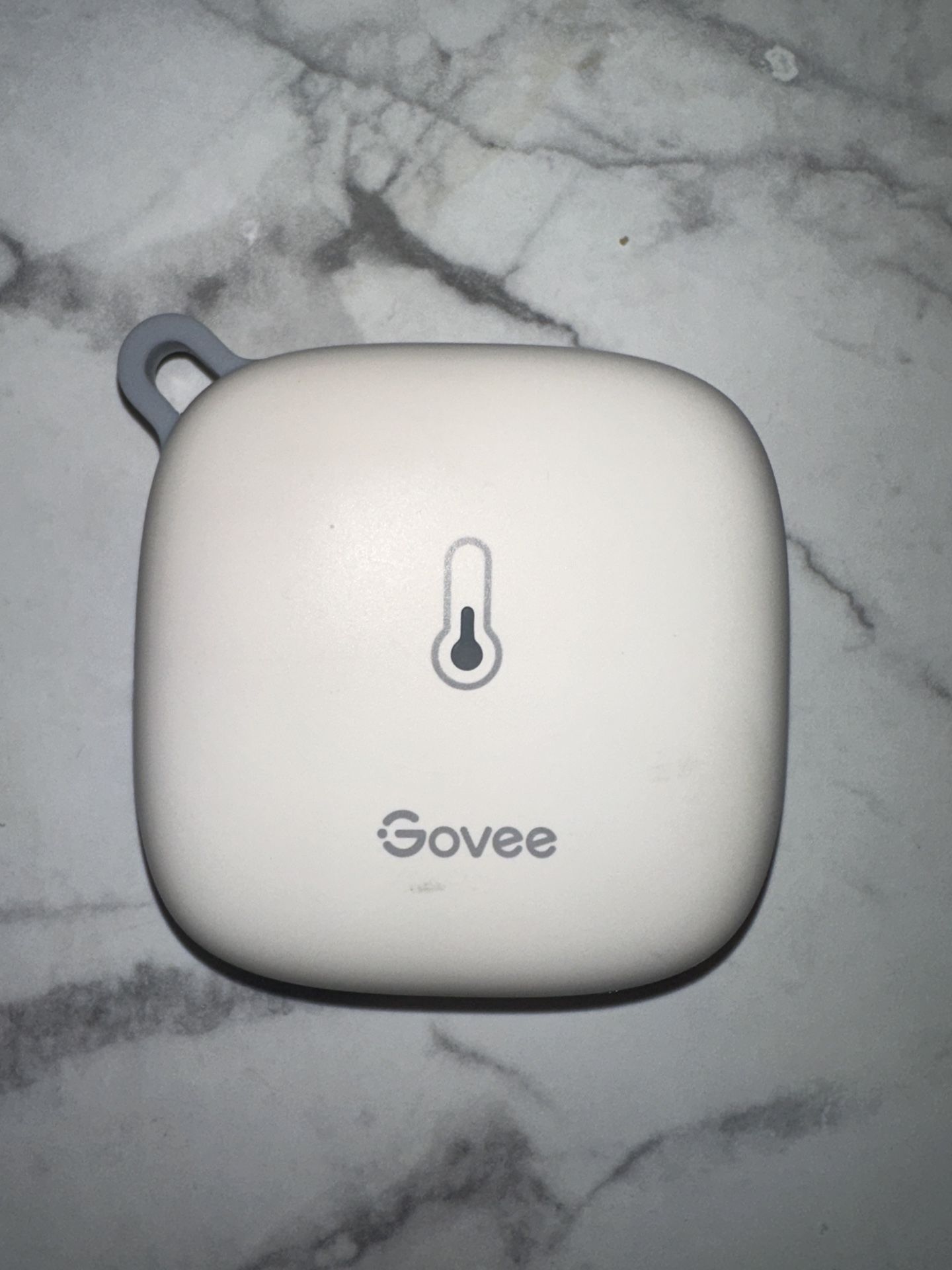 GoveeLife Smart Hygrometer Thermometer, WiFi 