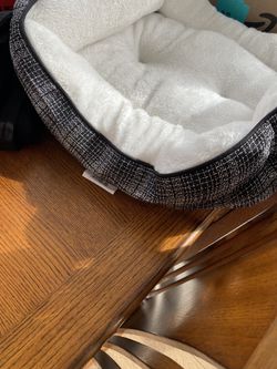 Cat Bed Unused