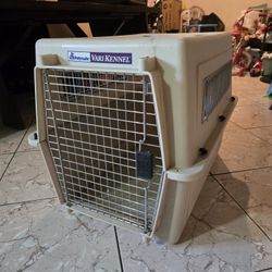 Dog Kennel