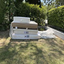 Free In Santa Monica 