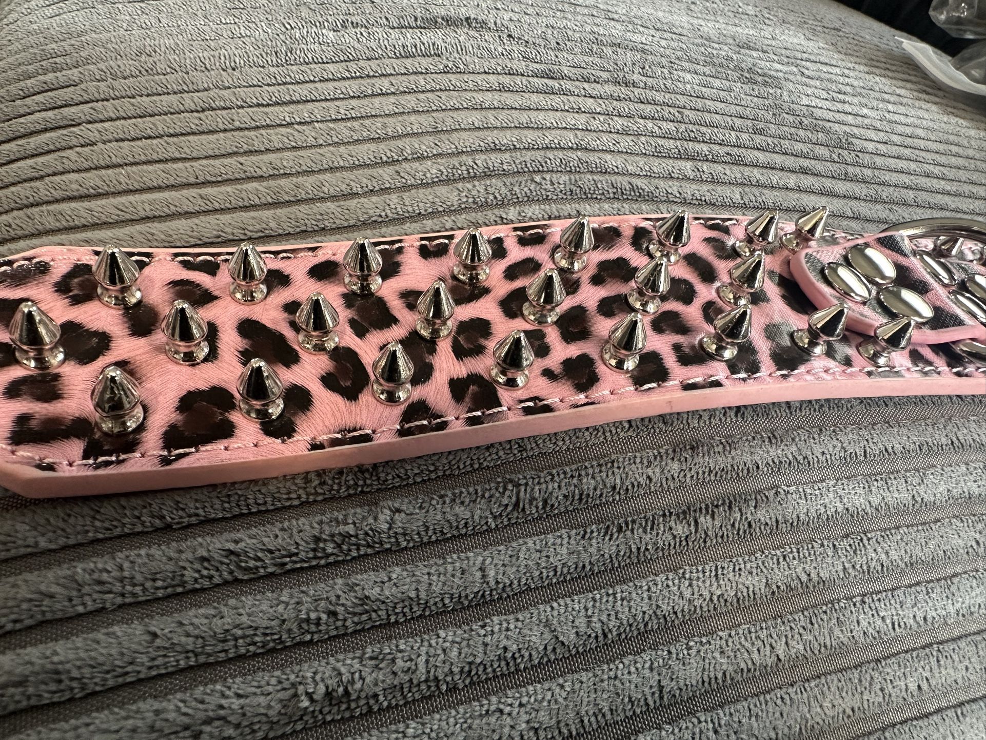 You large dog collar with leash