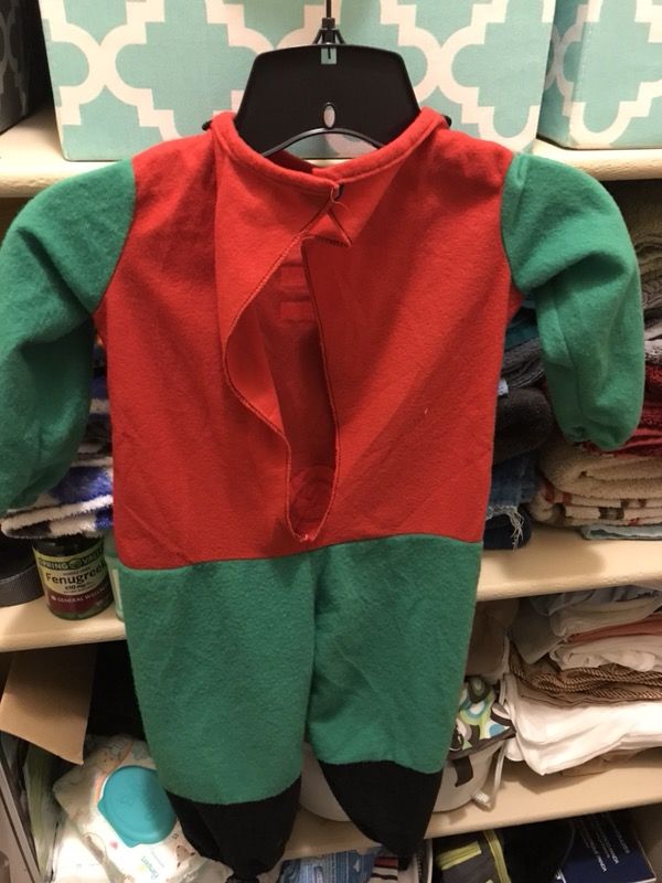Robin Costume