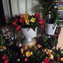 Beautiful Flowers With Pot
