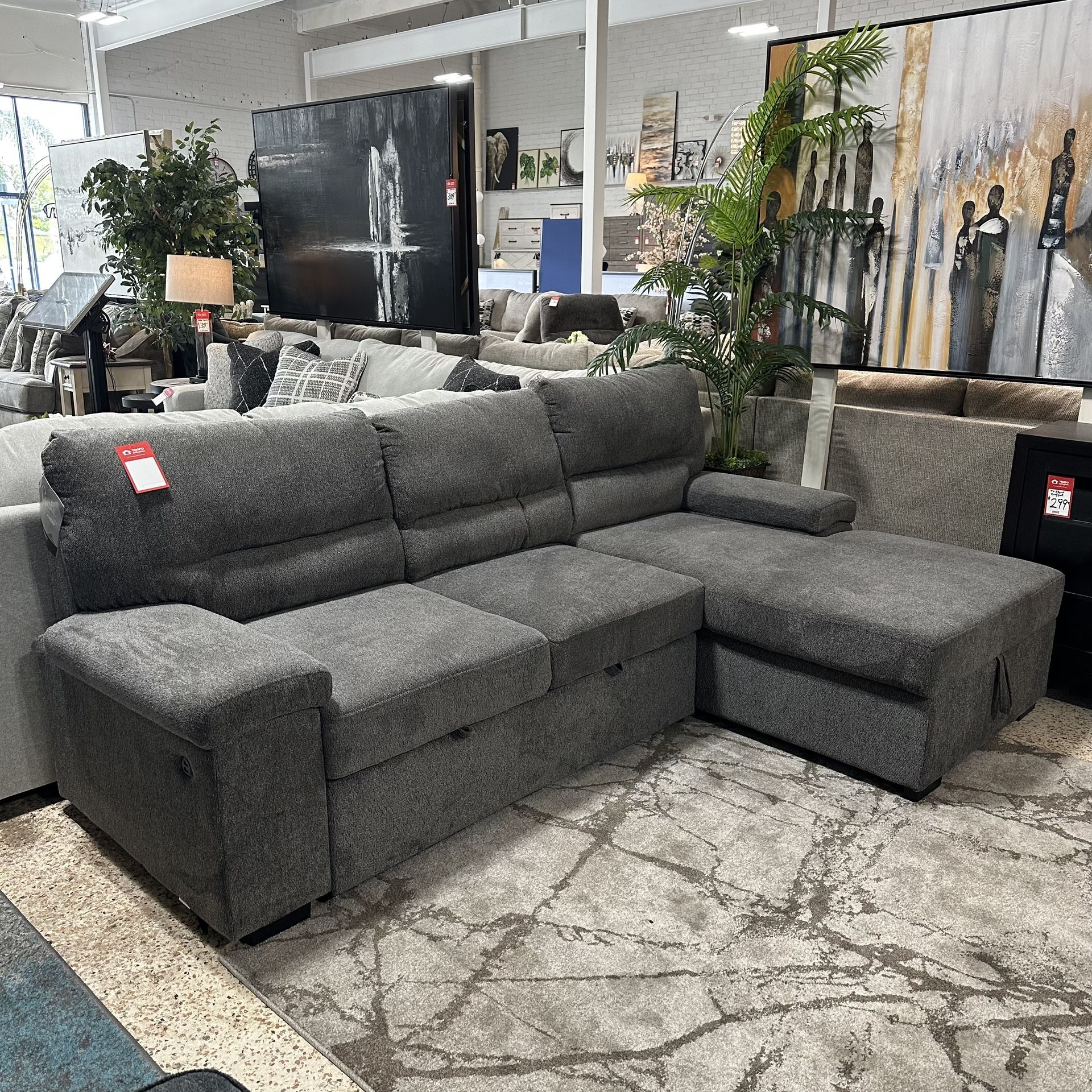 Pull Out Bed Sectional With Storage