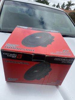 10in Subwoofer