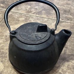Cast Iron Tea Pot