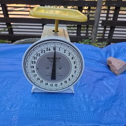Vintage Scale