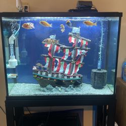 40 Gallon Fish Tank 