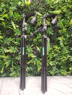 Pair of Zenith Linco 8806 Photography Light Stands with Adjustable Gooseneck Lamp Heads