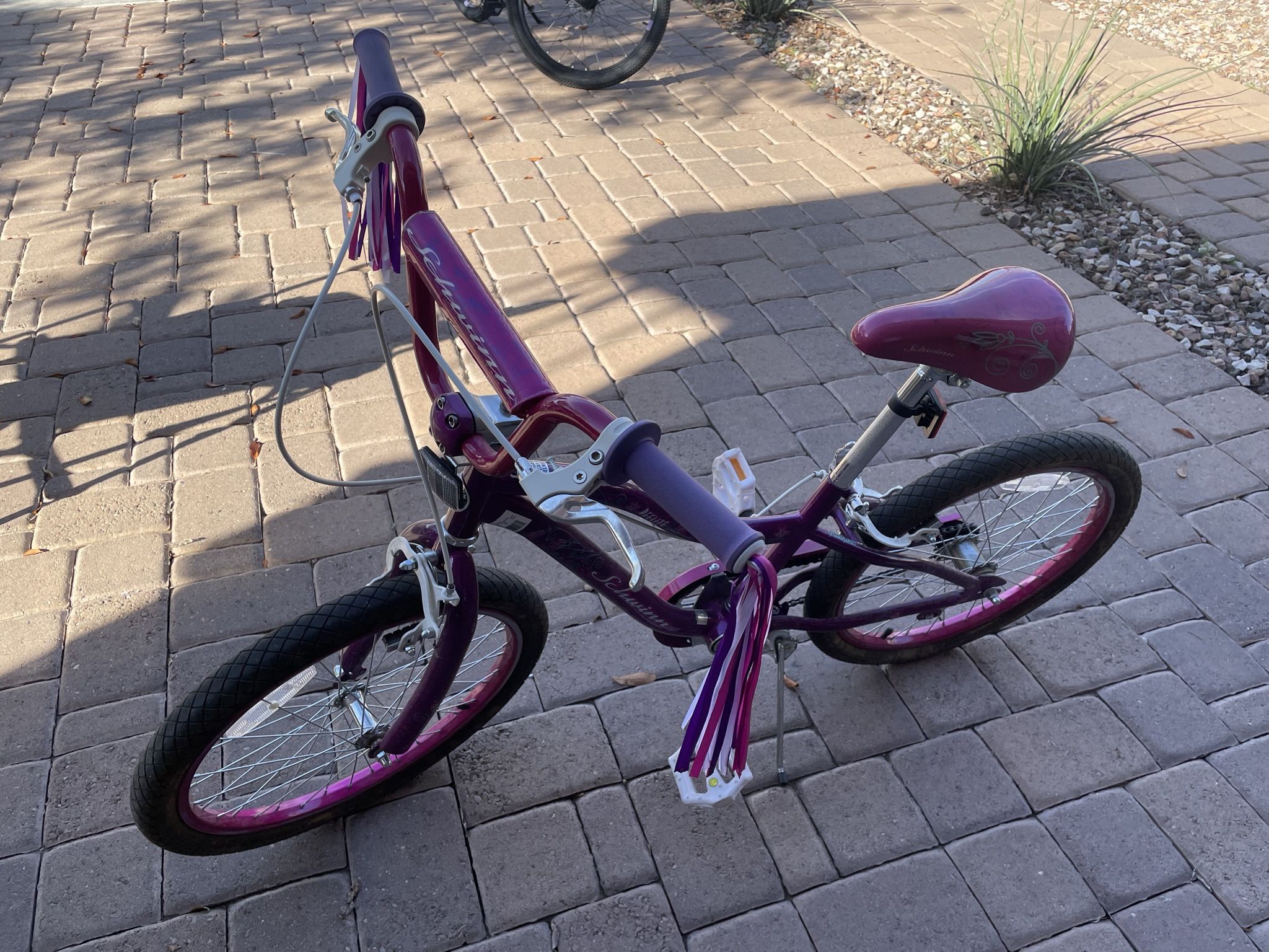 Youth bicycle 20in Wheels