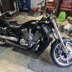 2013 Harley V rod muscle