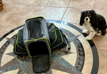 Dog expandable carrier