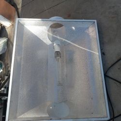 Light/Lamp