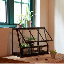Greenhouse