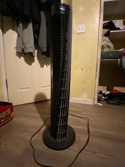 Fan