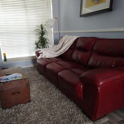 Leather Sofa with Rug And Frame 