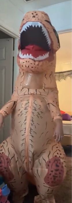 Dinosaur costume