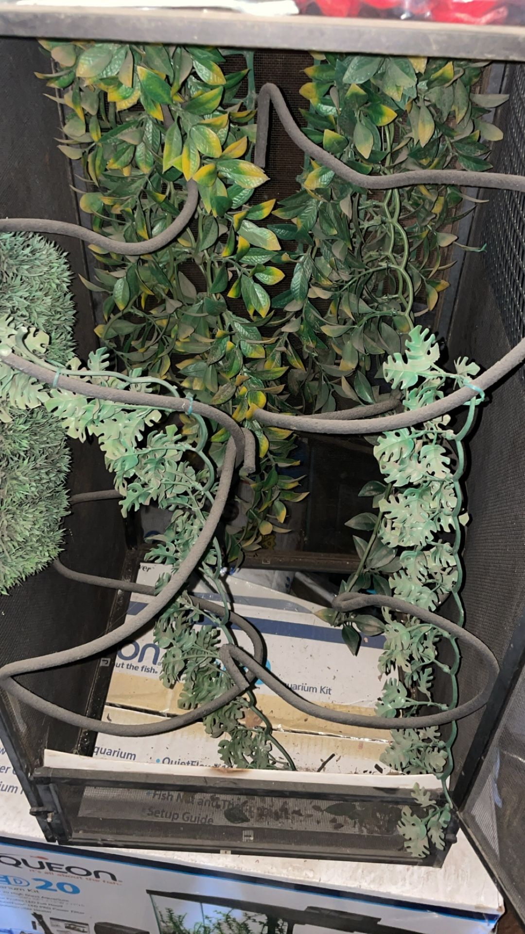 Chameleon Enclosure