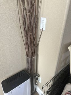 Tall Glass Vase With Branches
