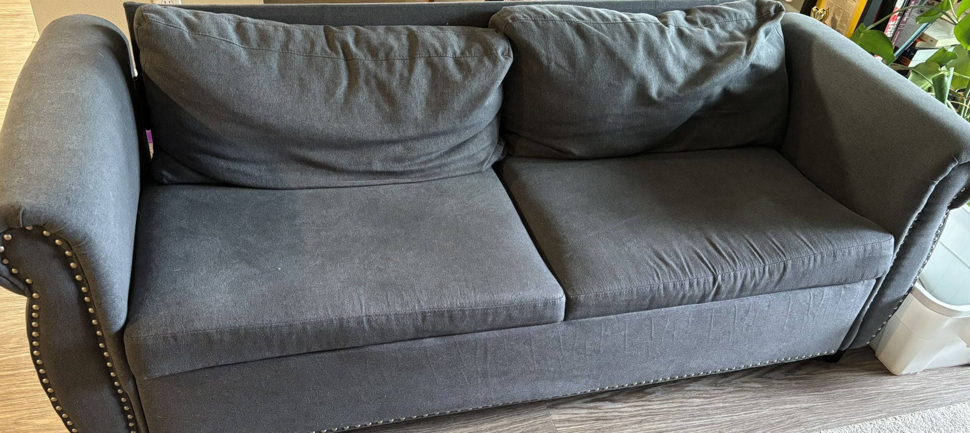 Couch W/ Pull Out Bed