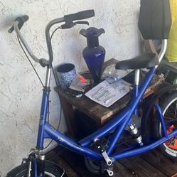 Y3K Ultimate Bike