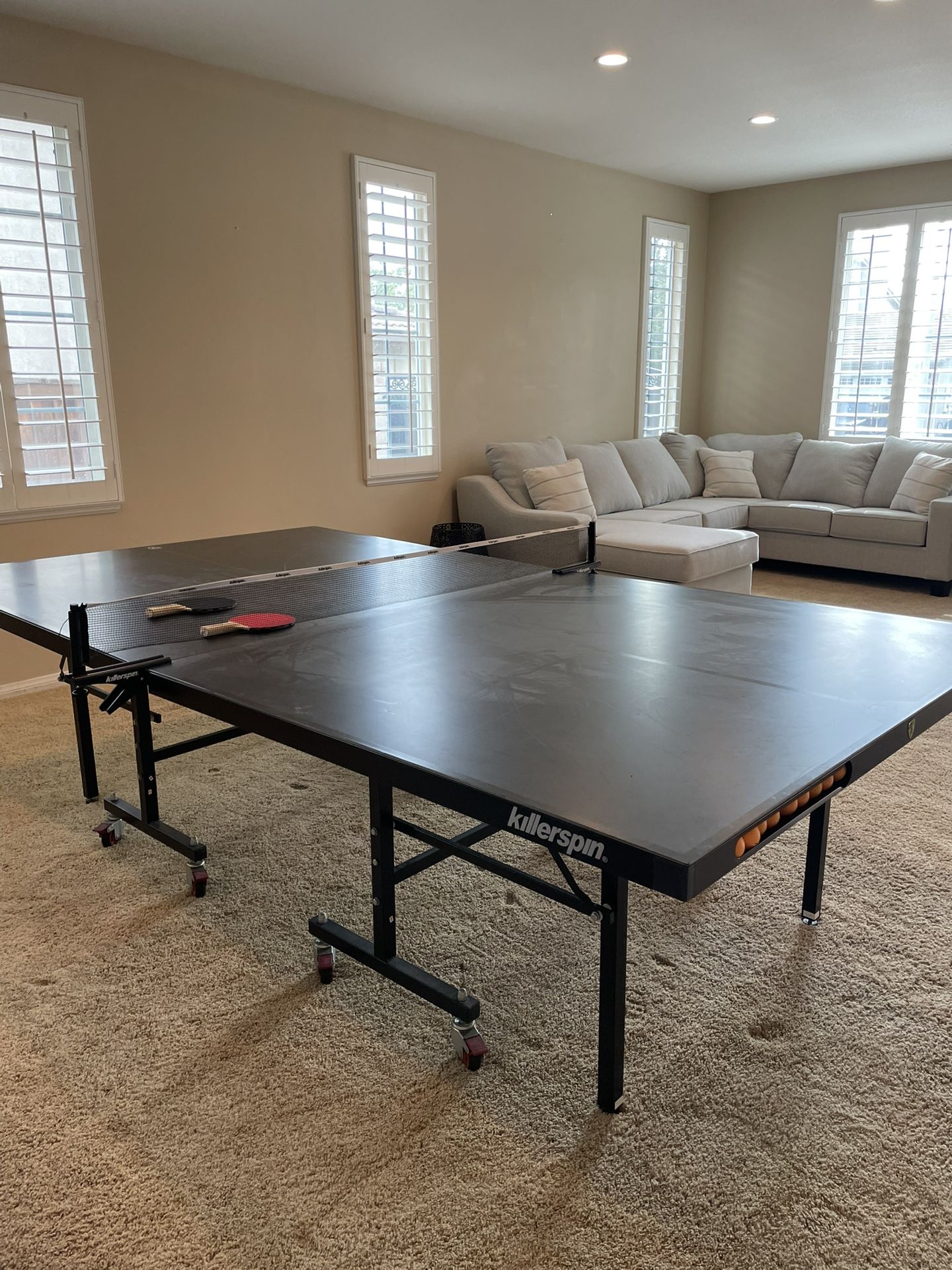 Ping-pong table rarely used