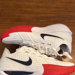 nike air zoom gt cut 3 team usa size 10