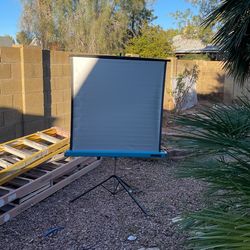 Vintage Radiant super champion projector screen