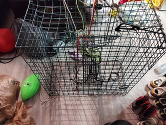Crab Trap 
