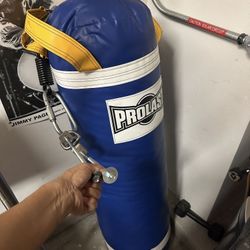 Prolast 80 lb Punch Bag