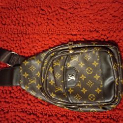 Brown Louis Vuitton Paris Manbag