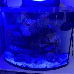 30 Gallon Aquarium 