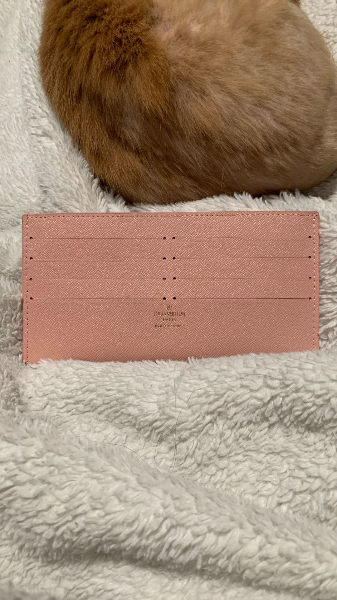 Louis Vuitton Pochette Felicie Epi Pink Card Invert