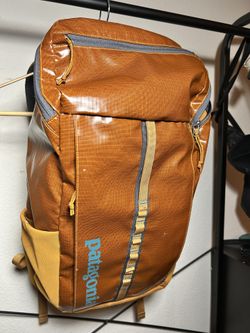 Patagonia Black Hole 25L