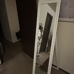 Home Goods Full Length Mirror