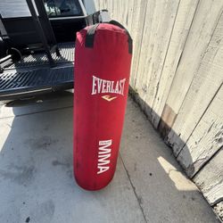 Punching Bag MMA EVERLAST 